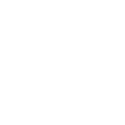 Adult Swim