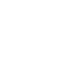 Boomerang