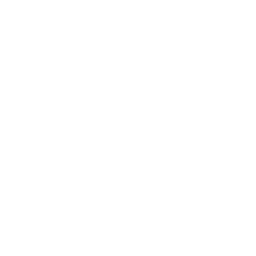 deluxe music