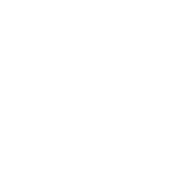 Deutsches Musik Fernsehen