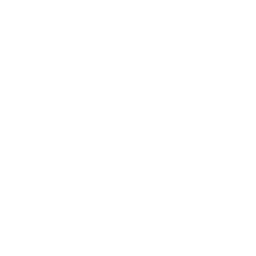 DR1 TV