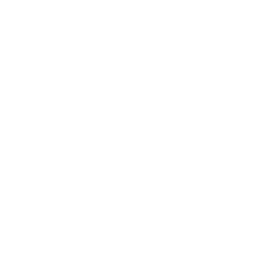 MTV HD