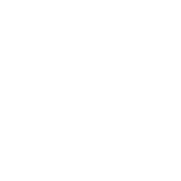 NPO 1 HD