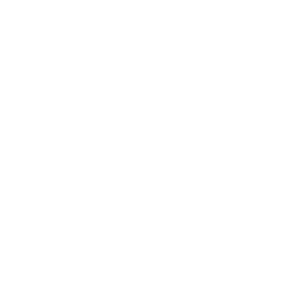 Phoenix HD