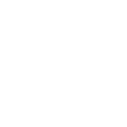 RiC