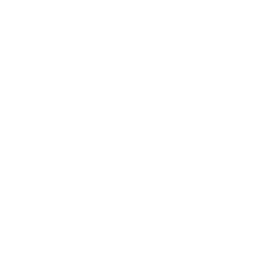 RSI LA 2 HD