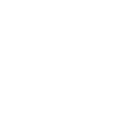 TOGGO plus